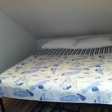 Dalmatian Split